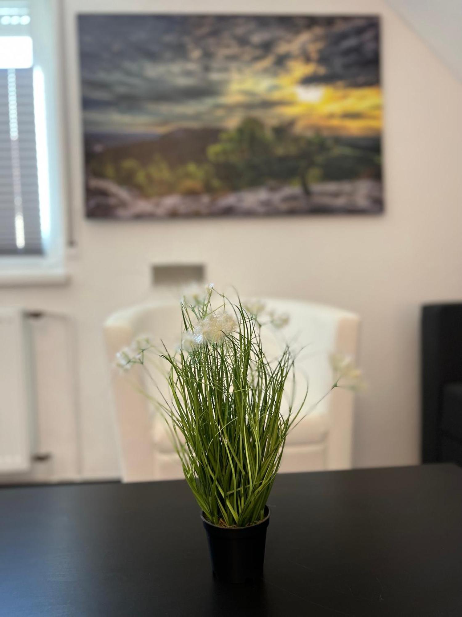 Rose No. 6 Dg, Klimatisiert Apartment ฟรีดริชส์ฮาเฟน ภายนอก รูปภาพ