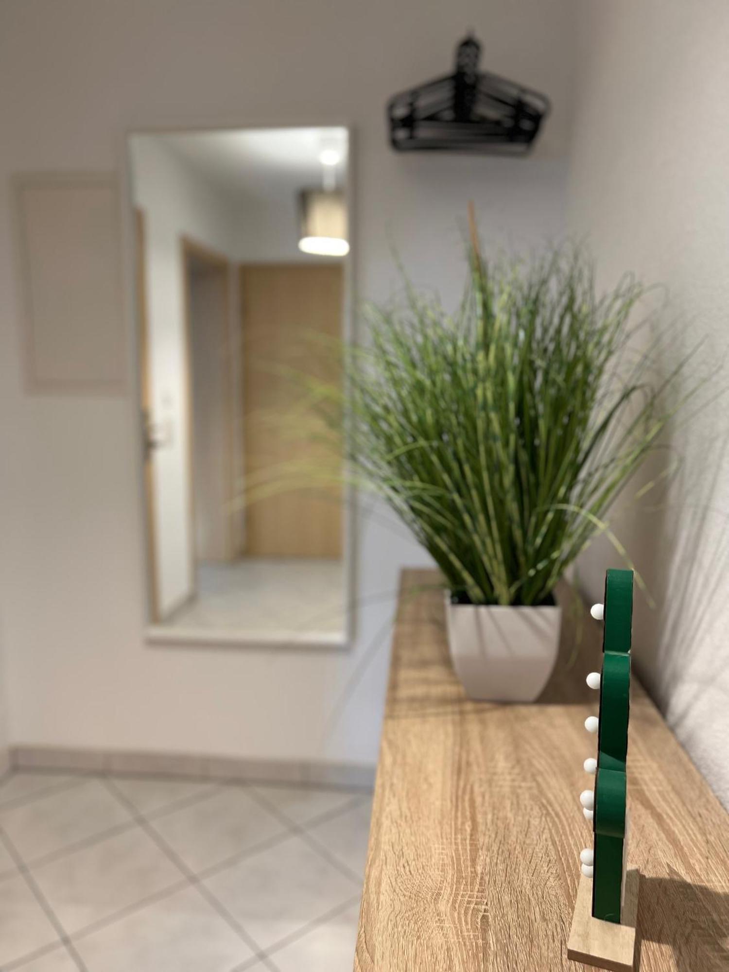 Rose No. 6 Dg, Klimatisiert Apartment ฟรีดริชส์ฮาเฟน ภายนอก รูปภาพ